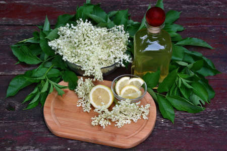 Syrup of flowers elderberry on wooden tableの写真素材