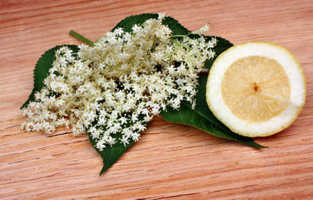 Health  elderberry flowers and lemon  on a wooden tableの写真素材