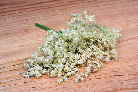 Health  elderberry flowers  on a wooden tableの写真素材