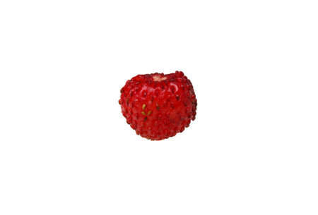 Wild strawberry macro isolated on whiteの写真素材
