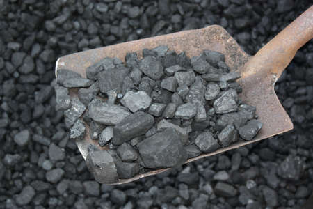 Loading shovel coal in the mineの写真素材