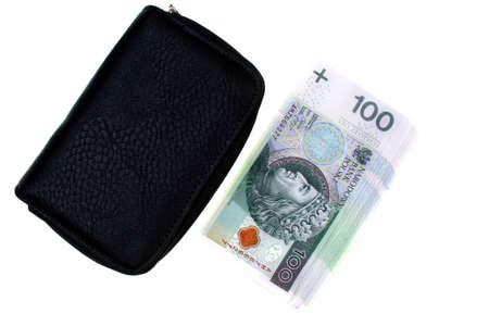Polish money and wallet on a white background
