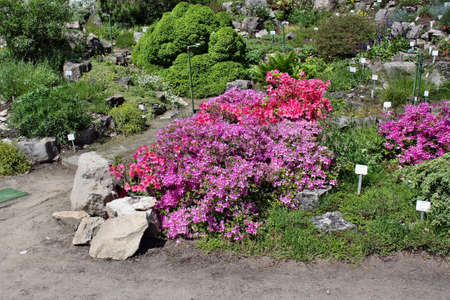 Potsdam, Germany - May 19, 2013: Botanical Garden in the park Sanssouciのeditorial素材
