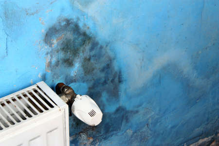 Dangerous mold fungus on the wall in a room near a heaterの写真素材