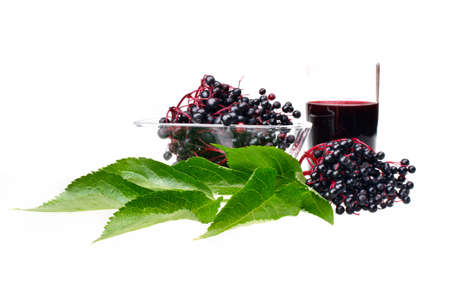 Fresh fruit elderberry on white isolated backgroundの写真素材