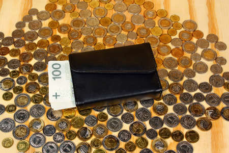 Polish money and wallet on the coins backgroundの写真素材