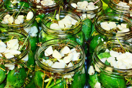 Jar of pickled cucumbers pickled in vinegarの写真素材