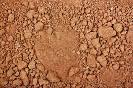 Fresh cocoa chocolate powder, brown tasty background