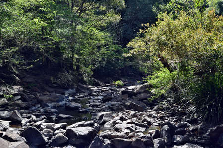 Beautiful small river in Gardners Falls, Maleny, Sunshine Coast, Australia.