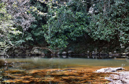 Beautiful Gardners Falls in Maleny, Sunshine Coast, Australia.