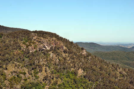 Landscape in Bunya National Park, Queensland, Australia. の写真素材