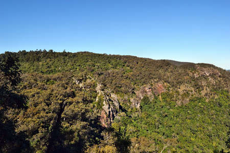 Landscape in Bunya National Park, Queensland, Australia. 