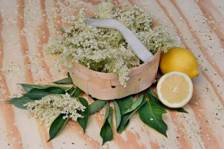 Health drink  from elderberry flowers on a wooden tableの写真素材