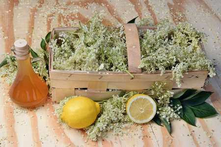 Elderflower syrup on wooden background and fresh flowerの写真素材