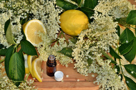 Elderflower oil on wooden background and fresh flowerの写真素材