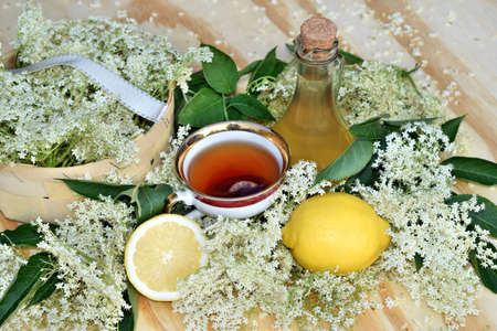 Tea with elderflower syrup on wooden background and fresh flowerの写真素材