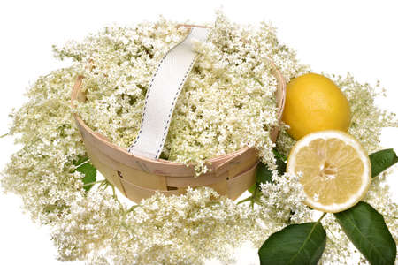 Elderflower with lemons on wooden basket isolated on white backgroundの写真素材