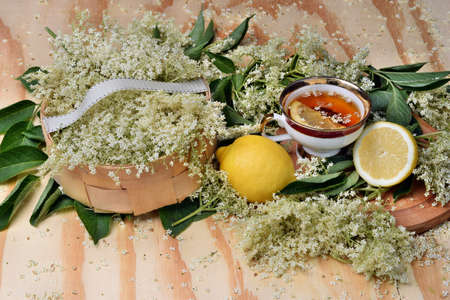 Health tea drink from elderberry flowers on a wooden tableの写真素材