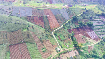 Hill view in the morning in the Cikancung area, Indonesia