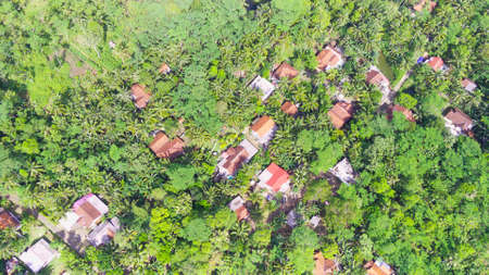 Abstract Defocused houses of residents in the coconut tree forest in the Pangandaran area, Indonesiaの写真素材