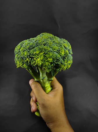 Abstract Defocused Blurred Background Photo of a right hand holding fresh broccoli, isolated on a...