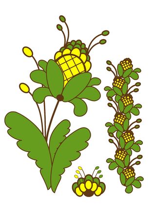 Green plant with yellow flowers. Vector illustrationのイラスト素材