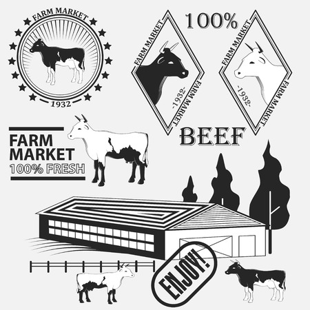 Set of premium beef labels, badges and design elements. Vector illustrationのイラスト素材