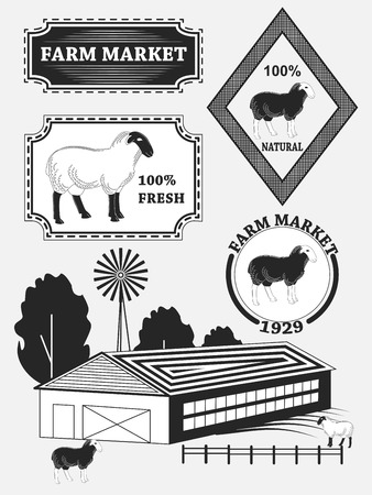 Set of premium lamb labels, mutton, badges and design elements. Vector illustrationのイラスト素材