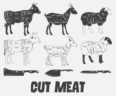 British cuts of lamb, veal, beef, goat or Animal diagram meat. Vector illustrationのイラスト素材