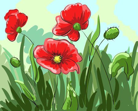 red poppies painted by hand grow on the field with green leaves. Vector illustrationのイラスト素材