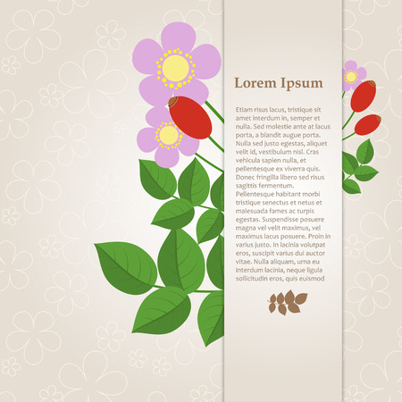 Floral composition with rose hips on a beige background with space for your text. Card. Vector illustrationのイラスト素材