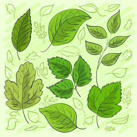 Set of green leaves hand-drawn for your design. Vector illustrationのイラスト素材