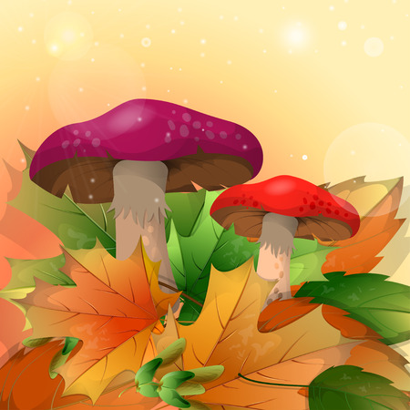 Red mushrooms and autumn leaves on a light background. Vector illustrationのイラスト素材
