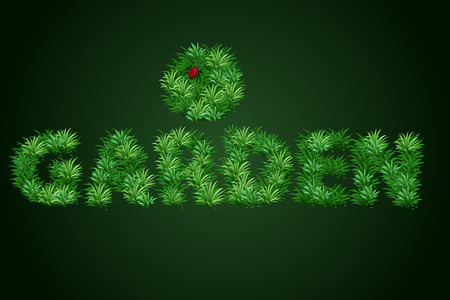 The word garden is written with a texture of grass with a ladybugのイラスト素材