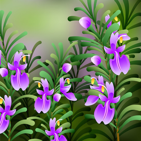 rosemary background. Useful green herbs. delicious seasoning. tasty flavoring for food. illustrationの写真素材