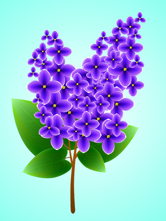 Spring background with beautiful blooming lilac. illustrationの写真素材