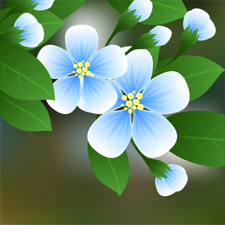 Flowering cherry. Blue flowers on a branch with green leaves and place for text. illustrationの写真素材
