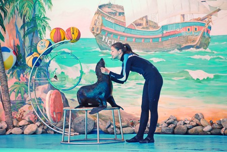 KIEV, UKRAINE - July 20, 2016: Performance of fur seals in the dolphinarium. Divingのeditorial素材