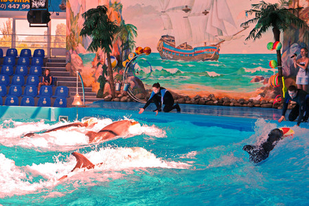 KIEV, UKRAINE - July 20, 2016: Performance of dolphins in the Dolphinarium Divingのeditorial素材