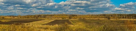 A beveled field against a background of tall trees in the distance and an endless blue sky with white cloudsの写真素材