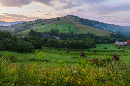 Slope of a high green mountain with small pretty houses and big shrubs on itの写真素材