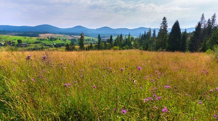 Glade with a mountain village in the background. a beautiful place to relaxの写真素材