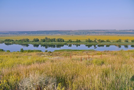Transparent river surface against the backdrop of picturesque green natureの写真素材