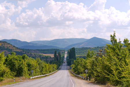 The path is between the trees and going to the mountains, under the sky with white cloudsの写真素材