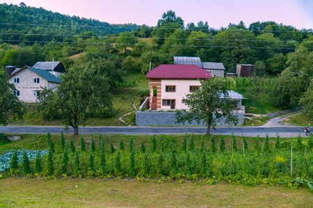 On one side of the road I go two-story private houses, and on the second a cabbage plantation and a...