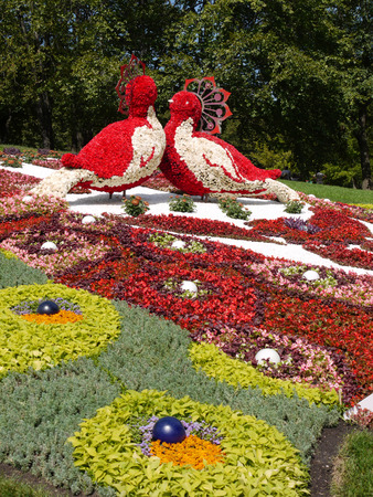 Two large birds made of flowers. In the park in the middle of the flower beds are facing each other.のeditorial素材