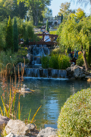 Newlyweds on a wooden bridge on the background of a decorative waterfall and a green park zoneの写真素材