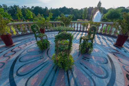 A chic composition of chairs and a table panned by green plants standing on a round platform paved with patterned tiles with a beautiful view of the pond with a fountain.の写真素材