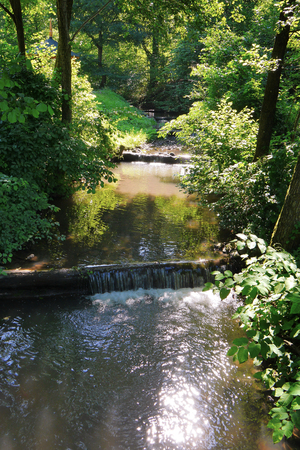 A fast river flowing with large water currents against the background of green treesの写真素材