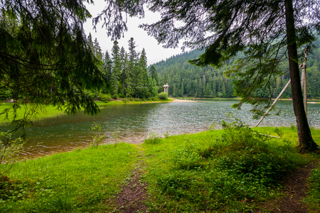 picturesque shore of a mountain river with clear water and green beachesの写真素材
